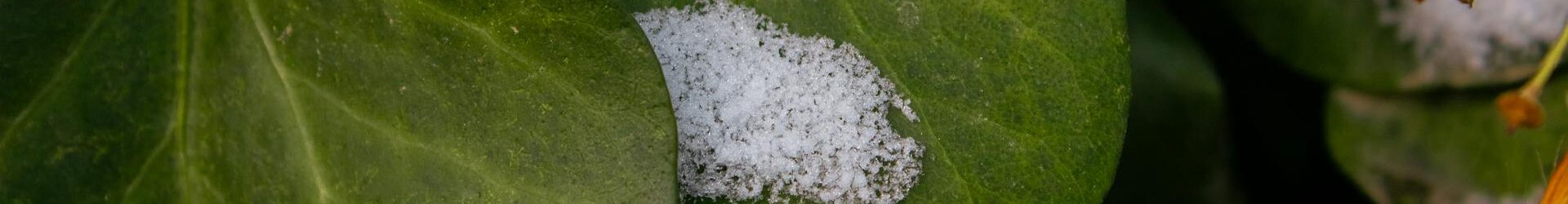 Hai bisogno di risparmiare? ecco perché il telecomando con controllo temperatura è la risposta per le tue strutture ricettive