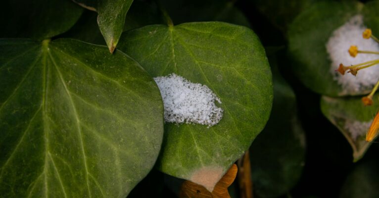 Hai bisogno di risparmiare? ecco perché il telecomando con controllo temperatura è la risposta per le tue strutture ricettive